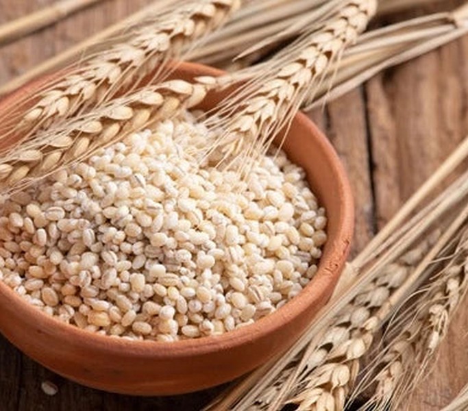 barley granomec
